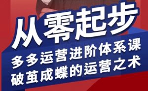 拼多多运营进阶系统课,从零起步,多多运营进阶体系课,破茧成蝶的运营之术-泱泱学习社