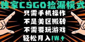 CSGO自动捡漏项目,最新独家玩法,不是美区搬砖,不需要了解和玩游戏,新手小白轻松月入1W+【揭秘】-泱泱学习社