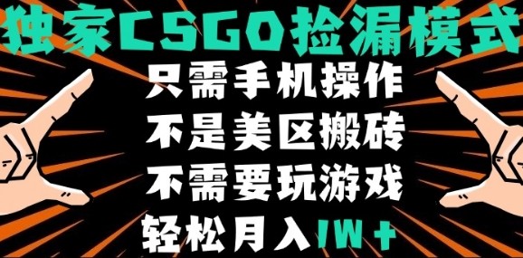 CSGO自动捡漏项目，最新独家玩法，不是美区搬砖，不需要了解和玩游戏，新手小白轻松月入1W+【揭秘】-泱泱学习社