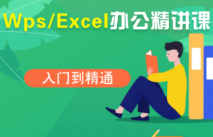 夏老师·WPS Excel办公(精讲课)-泱泱学习社