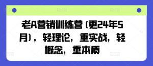 老A营销训练营(更25年8月)，轻理论，重实战，轻概念，重本质-泱泱学习社