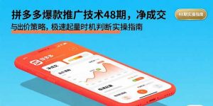 拼多多爆款推广技术48期，净成交与出价策略，极速起量时机判断实操指南-泱泱学习社
