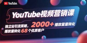 YouTube视频营销课，独立站引流策略，2000+播放量转化68个优质客户-泱泱学习社