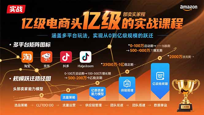 亿级电商头部卖家的实战课程：涵盖多平台玩法，实现从0到亿级规模的跃迁-泱泱学习社
