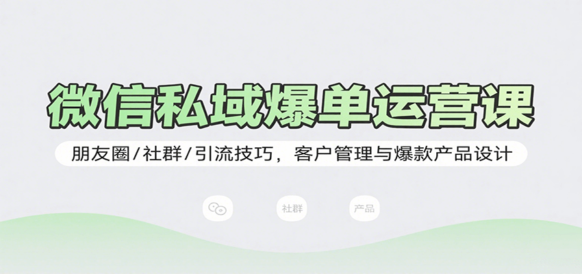 微信私域爆单运营课：朋友圈/社群/引流技巧，客户管理与爆款产品设计-泱泱学习社