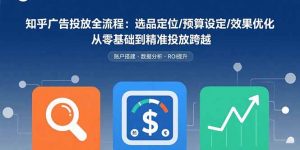 知乎广告投放全流程：选品定位/预算设定/效果优化 从零基础到精准投放跨越-泱泱学习社