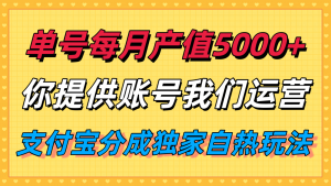 单月产值5000+，支付宝分成代运营，你提供账号坐等分钱，我们帮你运营-泱泱学习社