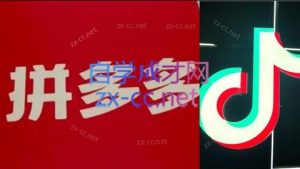 老陶电商·拼多多+抖音小店无货源开店(更新8月)-泱泱学习社