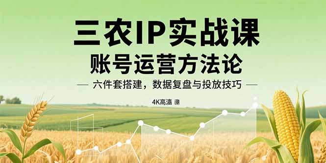三农IP实战课：账号运营方法论，六件套搭建，数据复盘与投放技巧-泱泱学习社