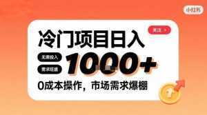 在小红书上发现个冷门路子，需求不小，零成本操作，每天能有1k进账-泱泱学习社