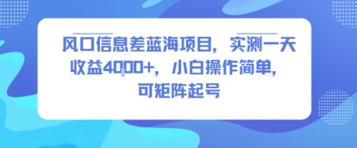 风口信息差蓝海项目，实测一天收益4k+，小白操作简单，可矩阵起号-泱泱学习社