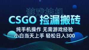 8月最新游戏搬砖，CSGO纯挂机，不需要玩游戏，实现真挂机，月入1W+-泱泱学习社