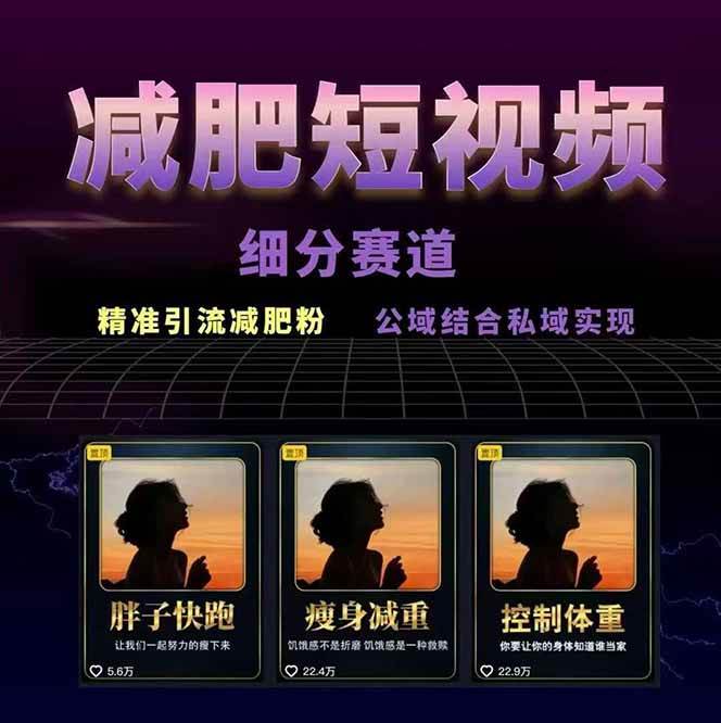图片[2]-减肥短视频运营实战课：含素材制作、剪映教学，讲精准引流、变现设计与内容模板技巧-泱泱学习社
