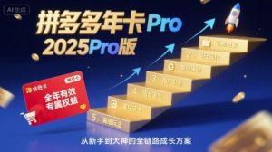 拼多多年卡2025Pro版，五大板块从认知到基础、从推广到活动、从活动到玩法-泱泱学习社