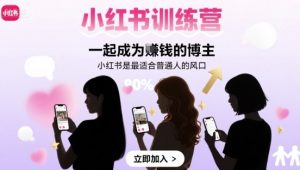 小红书训练营一起成为賺钱的博主，小红书是最适合普通人的风口-泱泱学习社