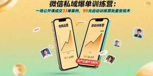 微信私域爆单训练营：一场公开课成交33单案例，99元自动训练营批量变现术-泱泱学习社