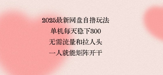 2025最新网盘自撸玩法，单机每天稳下3张，无需流量和拉人头，一个人就可轻松矩阵，全网独一份【揭秘】-泱泱学习社