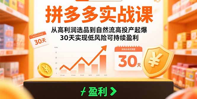 拼多多实战课：从高利润选品到自然流高投产起爆 30天实现低风险可持续盈利-泱泱学习社