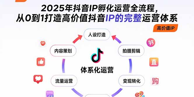 2025年抖音IP孵化运营全流程，从0到1打造高价值抖音IP的完整运营体系-泱泱学习社