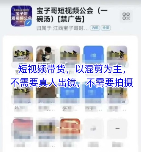 宝子哥头部团队短视频带货，以混剪为主，不需要真人出镜，不需要拍摄【更新8月】-泱泱学习社