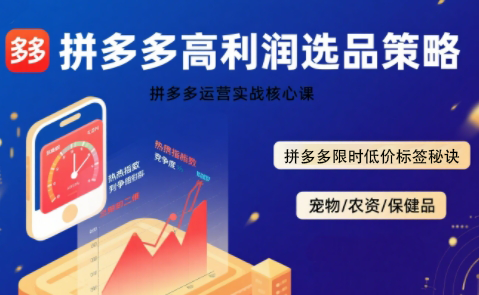 久号老师·拼多多选品暴利技术实战课-泱泱学习社