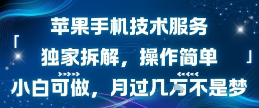 苹果手机技术服务，独家拆解，操作简单，小白可做，月过1W不是梦-泱泱学习社
