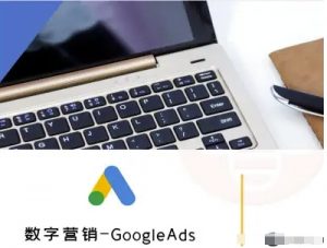 数字营销-GoogleAds-外贸跨境电商教程-泱泱学习社