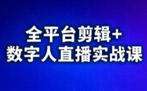 视频号、快手、抖音全平台剪辑+数字人直播实战课(更新8月)​-泱泱学习社