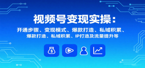 视频号变现实操,含开通步骤、变现模式、爆款打造、私域积累、IP打造及流量提升等-泱泱学习社