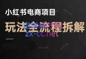 菲菲老师·小红书电商玩法(更新9月)-泱泱学习社