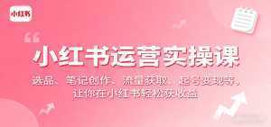 小红书运营实操课：选品、笔记创作、流量获取、起号变现等，让你在小红书轻松获收益-泱泱学习社