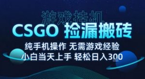 8月最新游戏搬砖，CSGO纯挂G，不需要玩游戏，实现真挂G，月入1W+【揭秘】-泱泱学习社