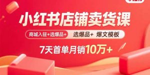 小红书店铺卖货课：商城入驻+选爆品+爆文模板，7天首单月销10万+-泱泱学习社