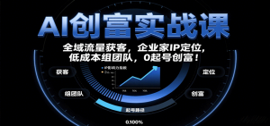 AI创富实战课:企业家IP定位,全域流量获客,低成本组团队,0起号创富!-泱泱学习社