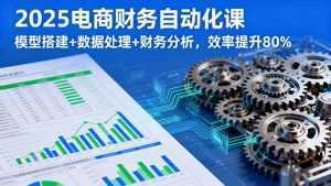 2025电商财务自动化课，模型搭建+数据处理+财务分析，效率提升80%-泱泱学习社