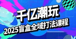 2025盲盒全域全套打法课，盲盒起号、选品、话术、私域等-泱泱学习社