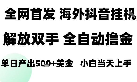 海外抖音无人直播，单日产出1.5k+，长期稳定，新手可玩，无脑操作【揭秘】-泱泱学习社
