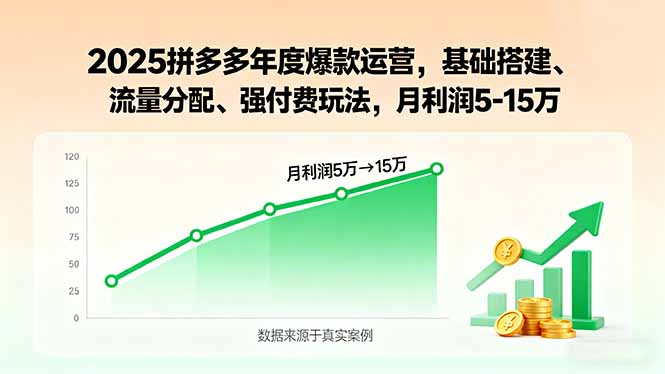 2025拼多多年度爆款运营，基础搭建、流量分配、强付费玩法，月利润5-15万-泱泱学习社