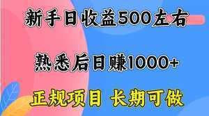 一台电脑，前期日收益300-500，熟练后日入1000左右-泱泱学习社