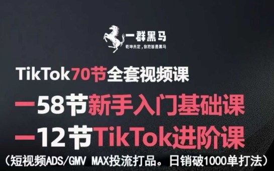 TikTok全套视频课，新手入门+进阶课，短视频ADS-GMV MAX投流打品，日销破1000单打法-泱泱学习社