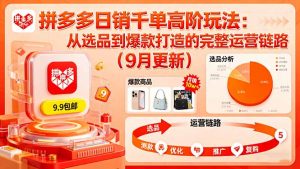 拼多多日销千单高阶玩法:从选品到爆款打造的完整运营链路(9月更新-泱泱学习社