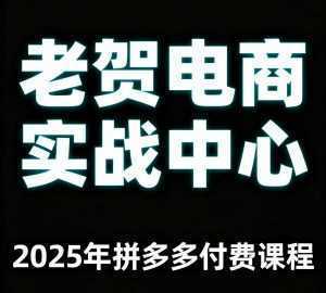 老贺电商2025年拼多多付费课程，用通俗易懂的方法告诉你多多怎么玩-泱泱学习社