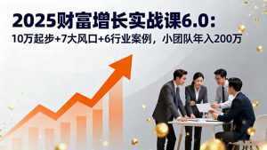 2025财富增长实战课6.0：10万起步+7大风口+6行业案例，小团队年入200万-泱泱学习社