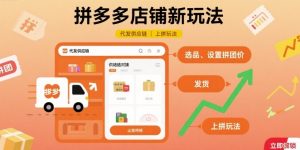 拼多多店铺新玩法，代发供应链上拼玩法-泱泱学习社