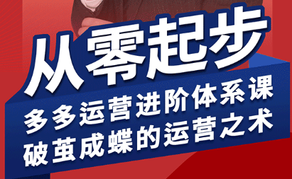 海神·拼多多运营进阶系统课(更新9月)-泱泱学习社