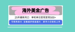 最新海外广告美金，全自动挂机，单机单日500+，可矩阵放大，新手小白轻...-泱泱学习社