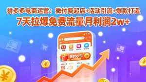 拼多多电商运营：微付费起店+活动引流+爆款打造 7天拉爆免费流量月利润2w+-泱泱学习社