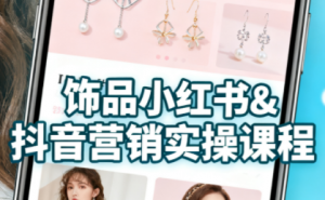 抖音+小红书饰品卖货：货源、开店、内容全教会-泱泱学习社