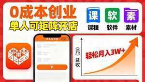 拼多多虚拟电商，0成本，单人可矩阵开店，轻松月入3W+-泱泱学习社
