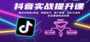 抖音实战提升课：解析抖音蓝v权益，销售技巧、客户管理、团队打造等创业赛道快速突围-泱泱学习社